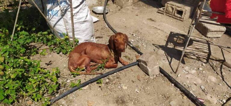 428609594 783176967186931 6522779100375848861 n