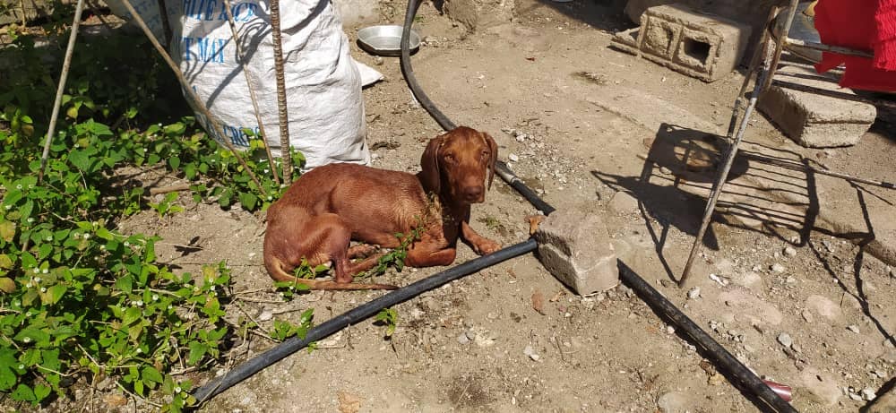 428609594 783176967186931 6522779100375848861 n