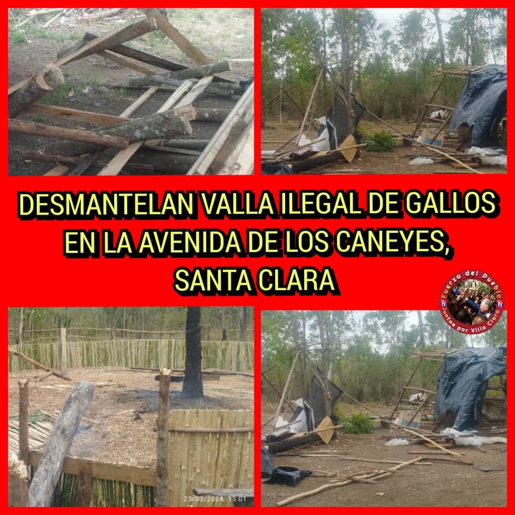 433894902 317022908060984 1386670155873109407 n