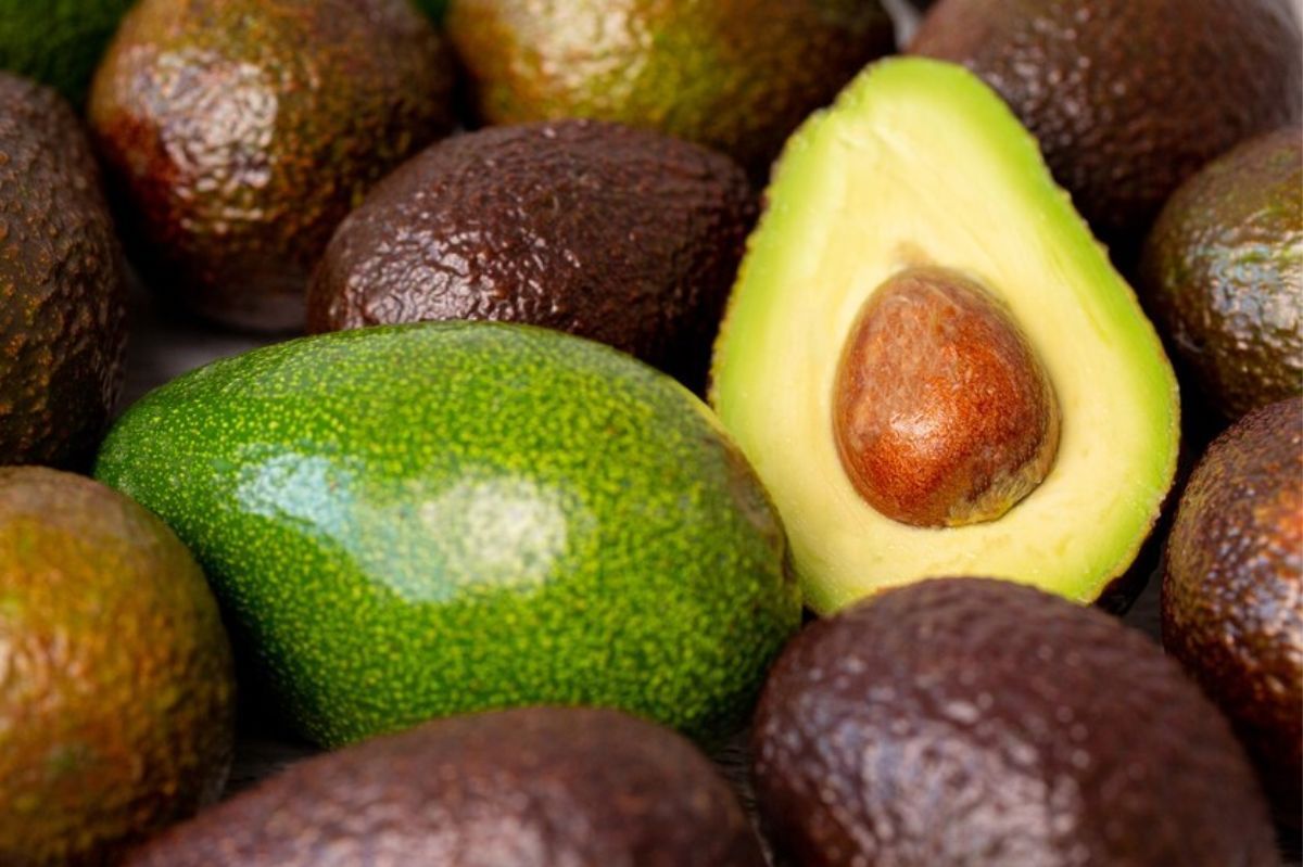 803a1013 0ded 4fe1 a01f 6da2dbdfa3d9 source aspect ratio default 0