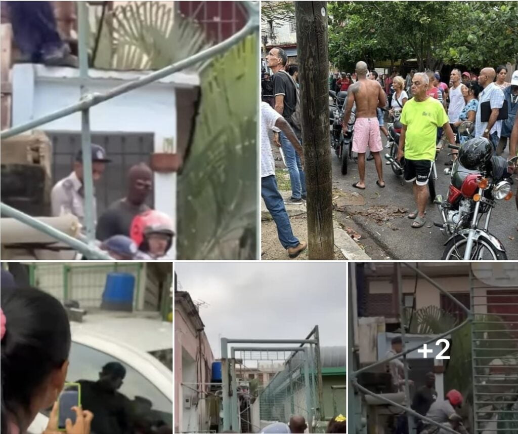 Fotos Captura de pantalla 2024 03 20 a las 15.46.28