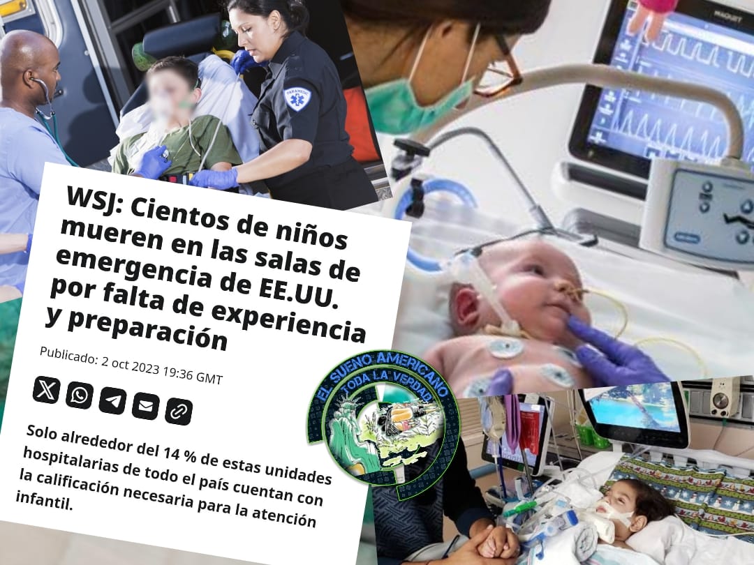 435475871 122169057626023154 2433585585649289996 n