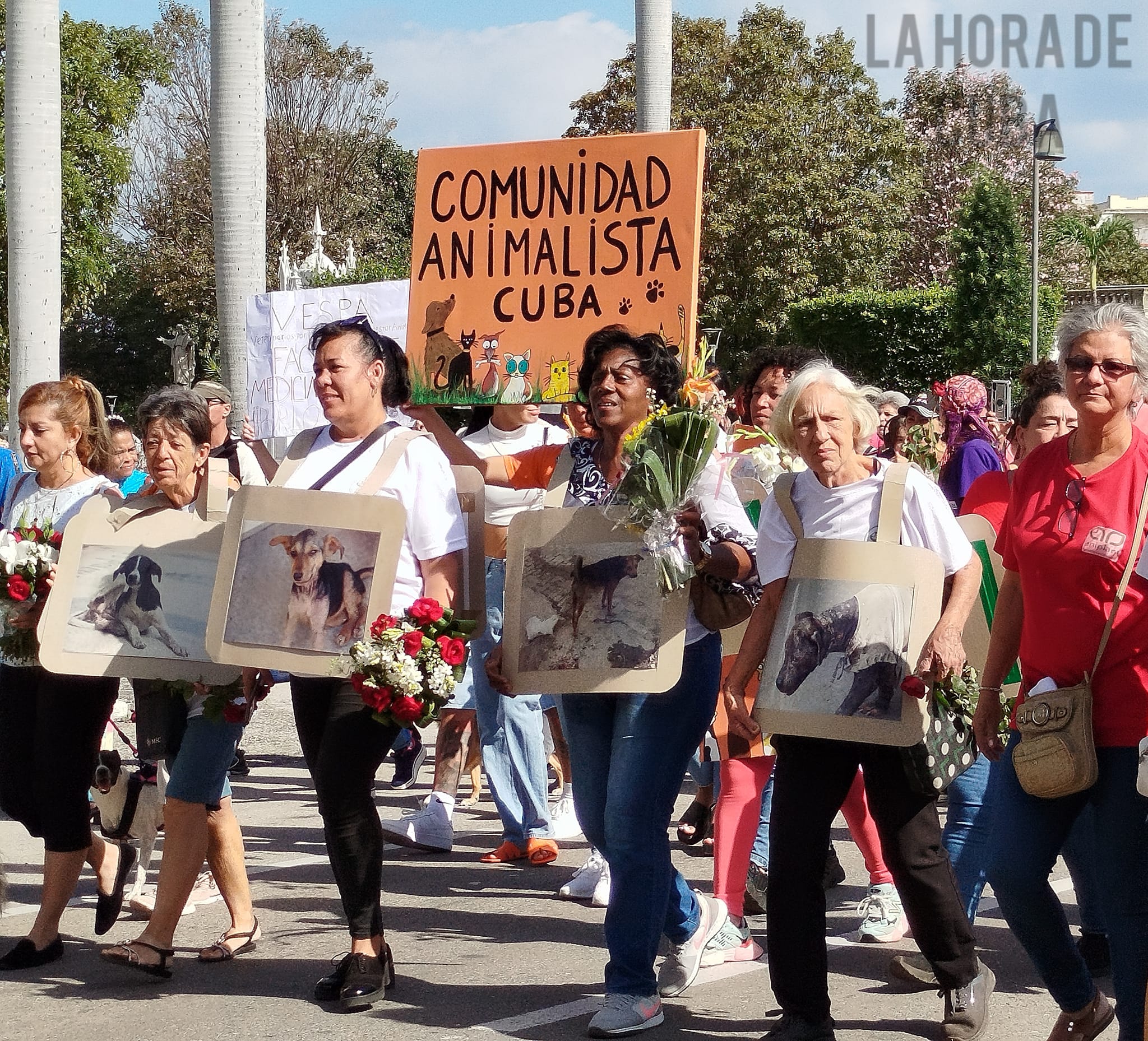 437962169 832190448926089 2245641095167489872 n