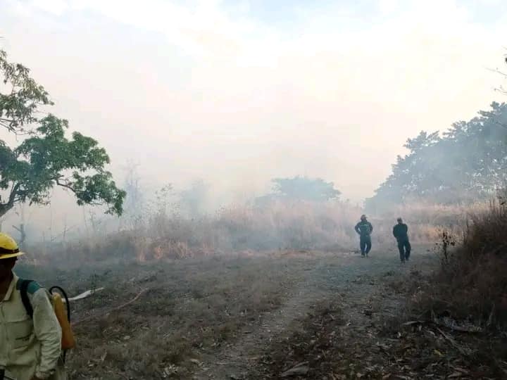 438805430 334262543003687 7131025513508240013 n