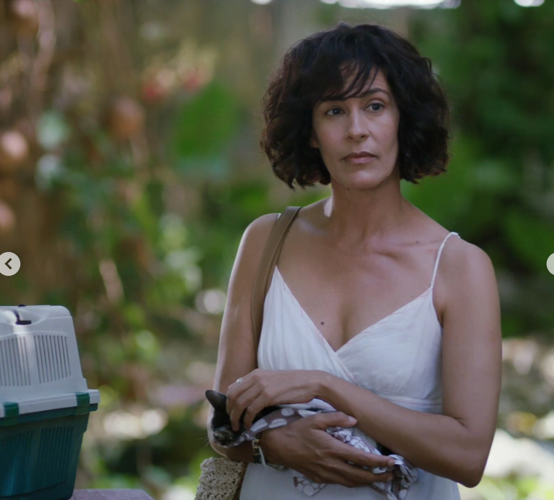 Captura de pantalla 2024 04 22 a las 14.45.32