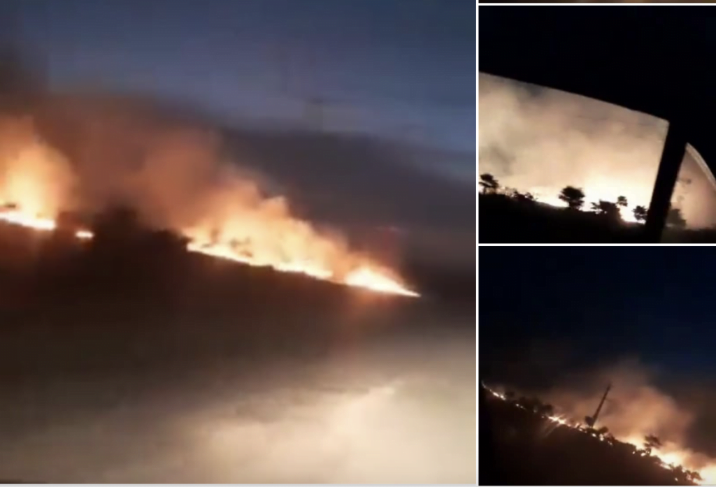 Captura de pantalla 2024 04 29 a las 12.06.36