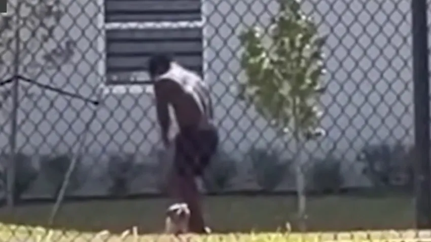 31404674316 1080pnbcstations.jpg