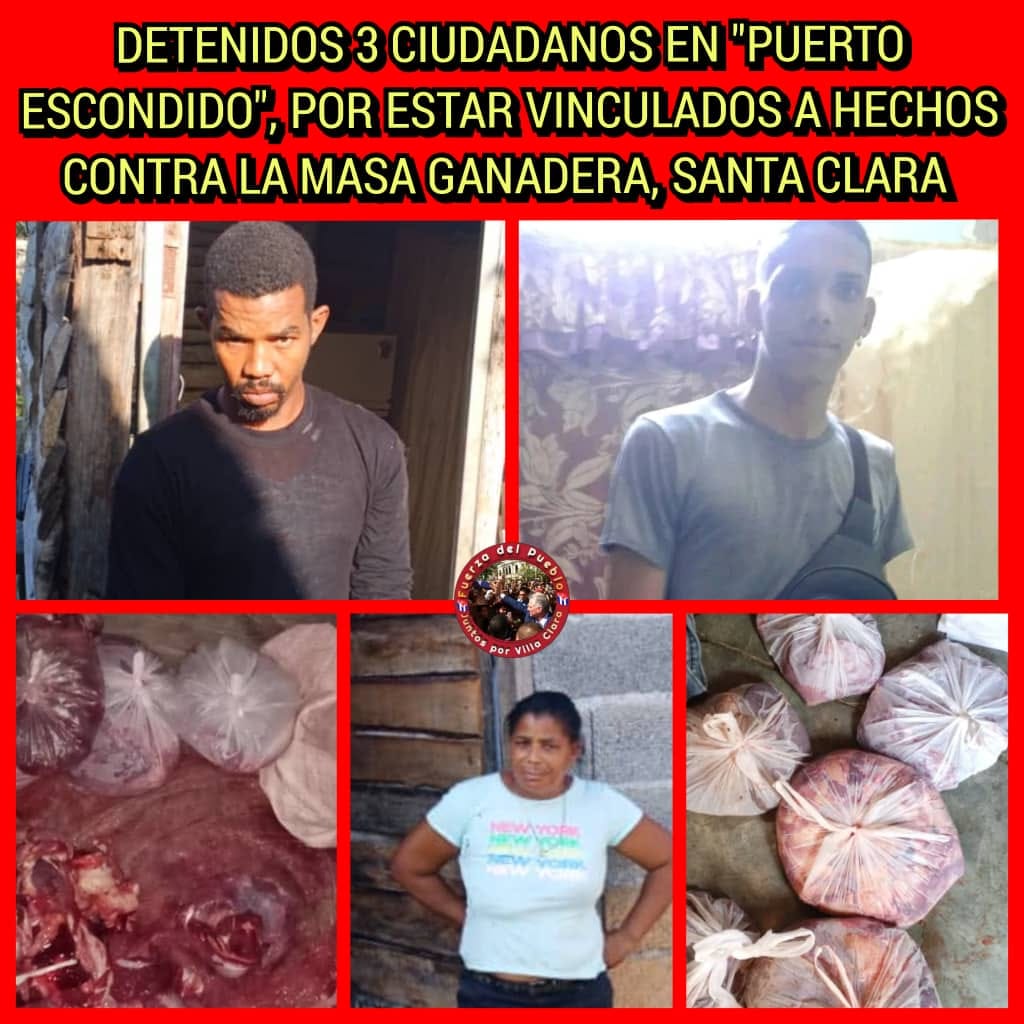 438099086 339946695768605 8776029193384408699 n