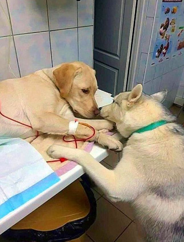 440144484 397611859769717 647882054566906818 n