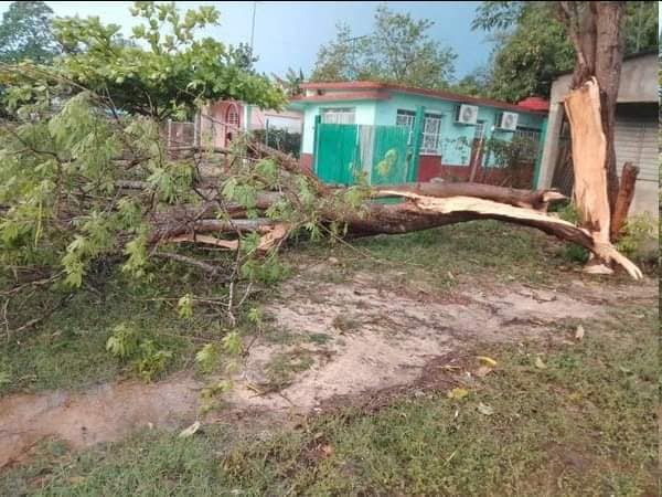 444139634 1025084275880925 6204482197358306274 n