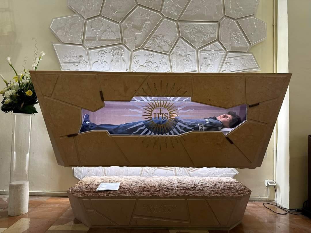 445369531 980077700792521 6852423750521941176 n