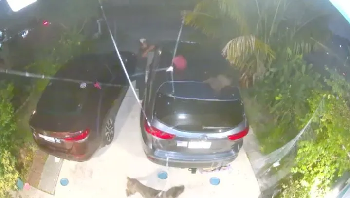 ANIMAL CRUELTY 2024 05 02.jpg