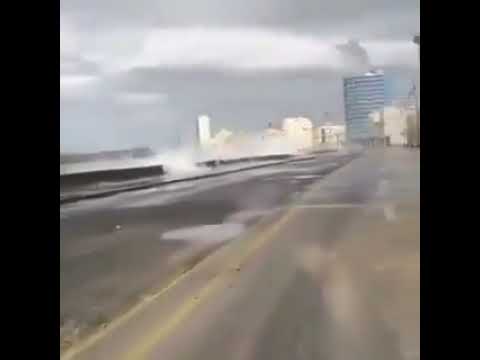 Presidente Argentino Javier Milei Critica a Cuba en Video Viral news cuba