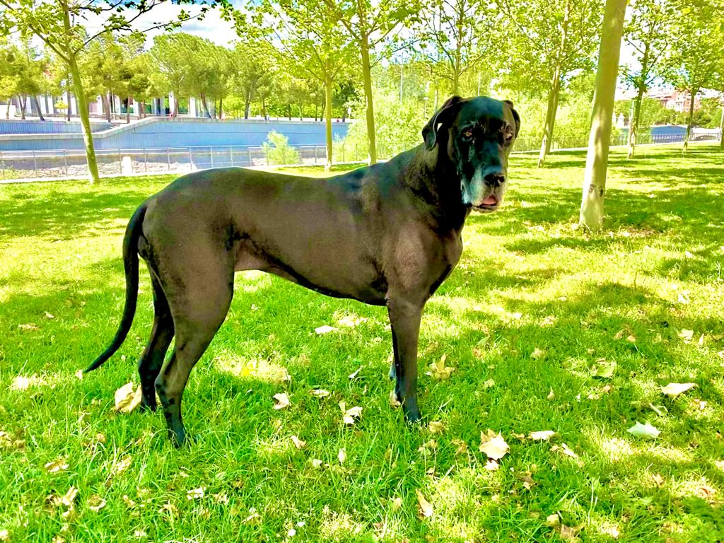 d4b84531 d33a 46fb ac5f 86cc2d343be5