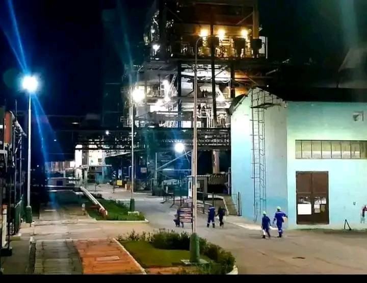 444502018 851838166963253 2219711258747139347 n