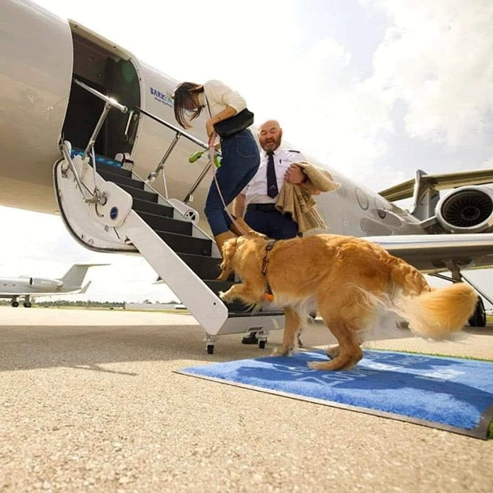 447556101 881910403977715 3935849485034807070 n