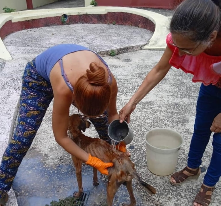 447786704 8076582489018414 7811801224160581861 n