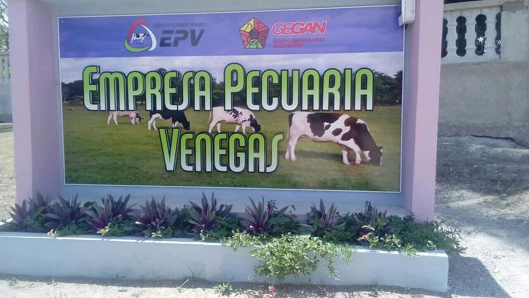 447880589 1034074074981945 581800937288830063 n