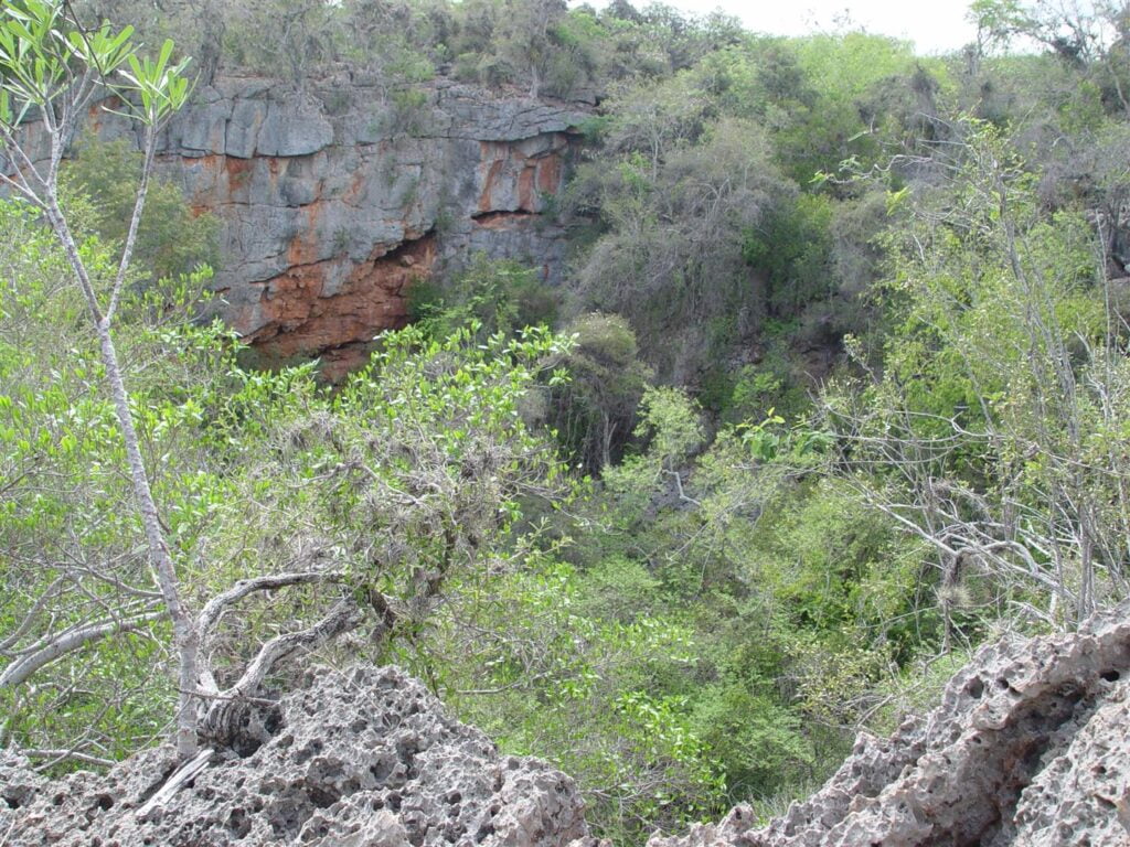 ciencia de cuba ciencia cubana reserva ecolcbgica siboney juticcad ecosistemas terrestres vulnerables santiago de cuba