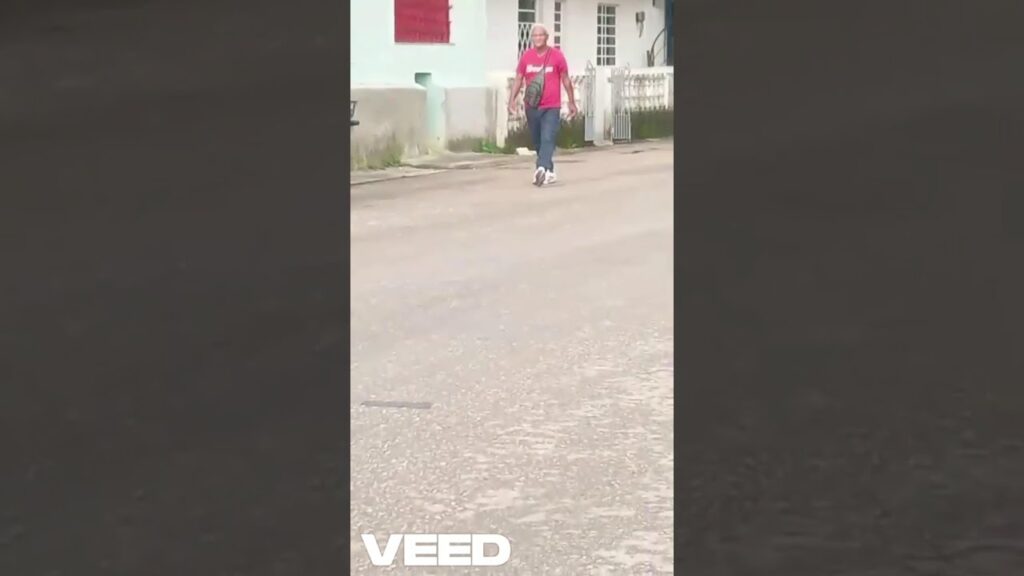 Persona caminando en calle con bolsas