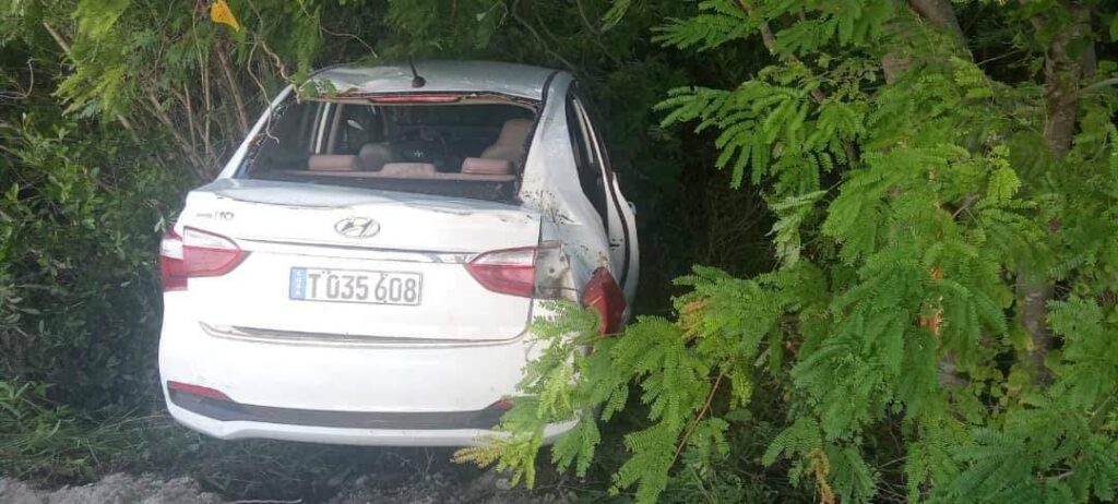Coche blanco accidentado entre arbustos