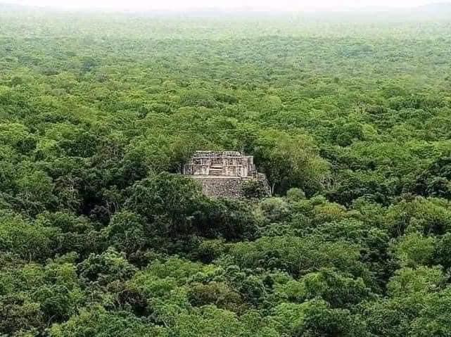 Antigua pirámide maya emergiendo del denso bosque.