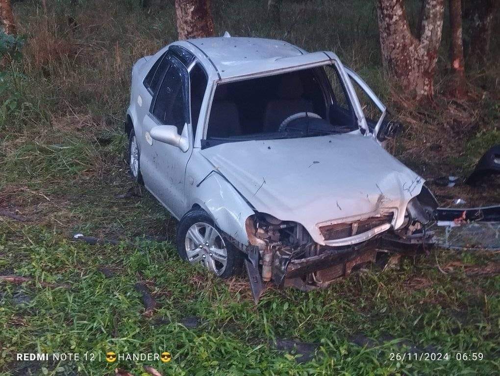 Coche blanco accidentado entre árboles