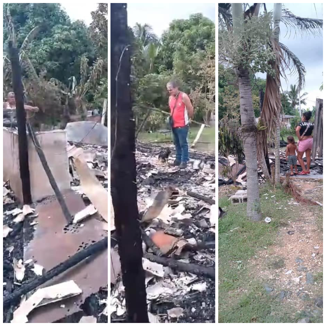 Personas inspeccionando restos de incendio en zona tropical