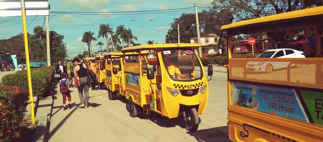 Taxis eléctricos amarillos en fila bajo sol brillante