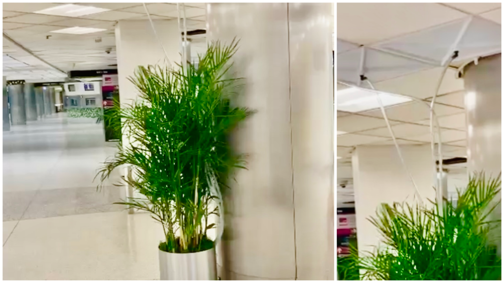 Plantas verdes en maceteros de metal en aeropuerto