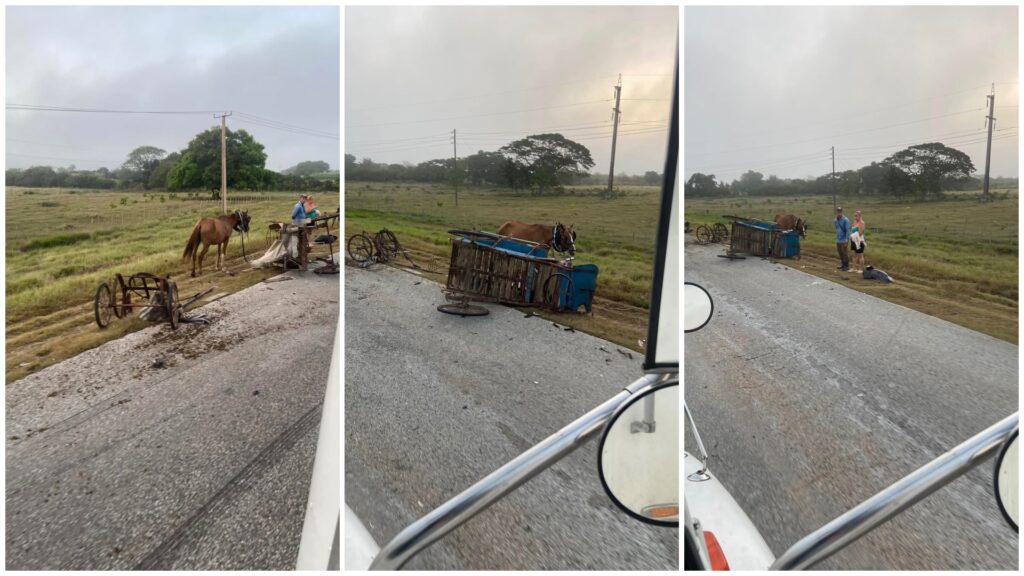 Carros con caballos al lado de la carretera
