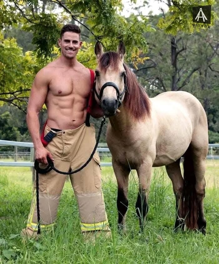 Hombre sonriente y caballo en campo verde