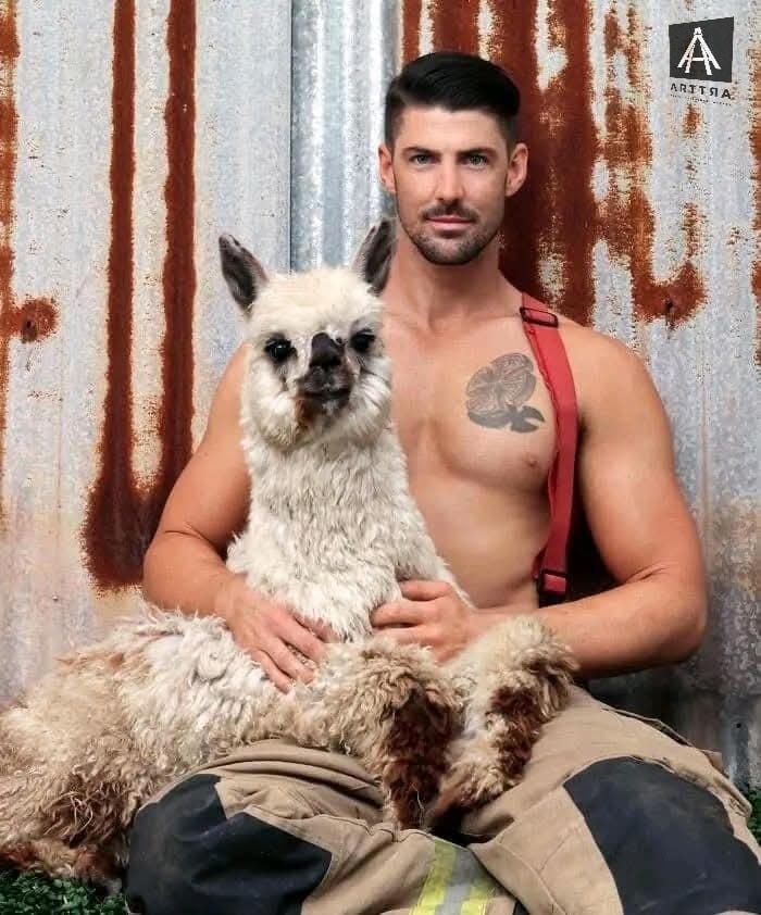 Hombre con llama y perro en ambiente rústico