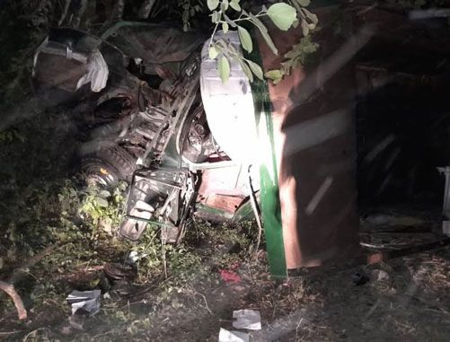 Coche accidentado en un bosque de noche