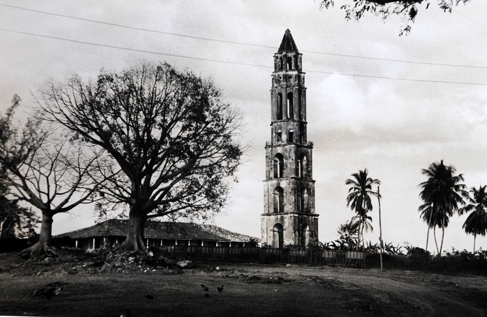 Torre antigua rodeada de árboles y palmeras
