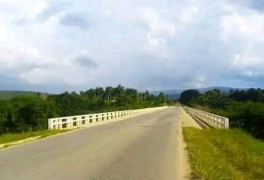 Puente largo con palmeras y cielo nublado.