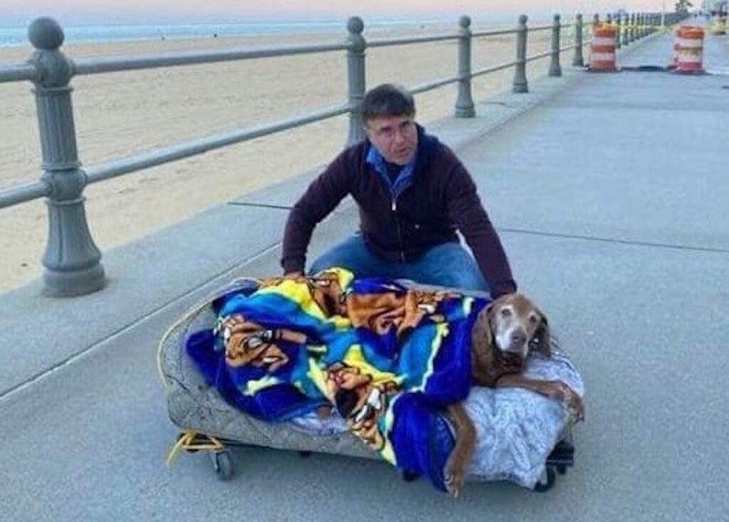 Hombre con perro enfermo en carrito junto al mar