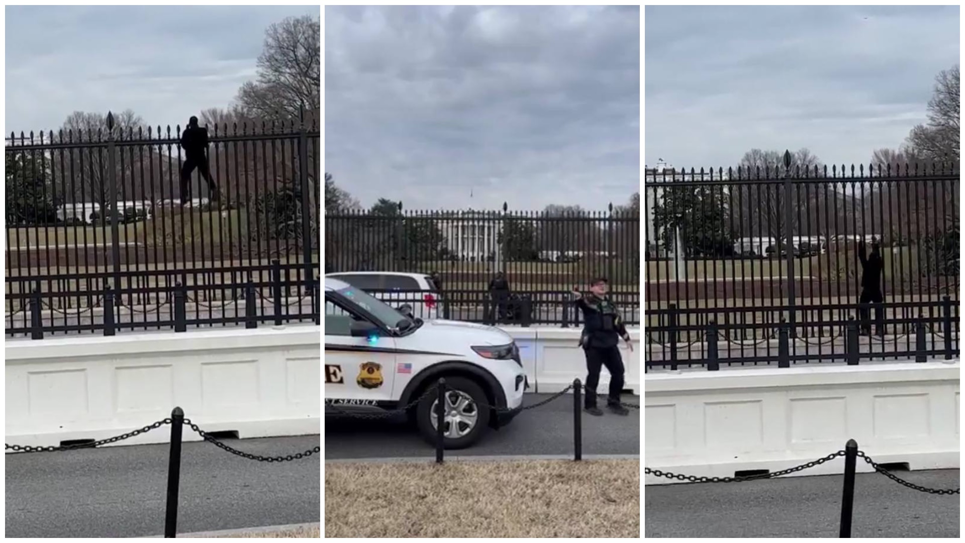 Persona trepando valla, policía interviniendo
