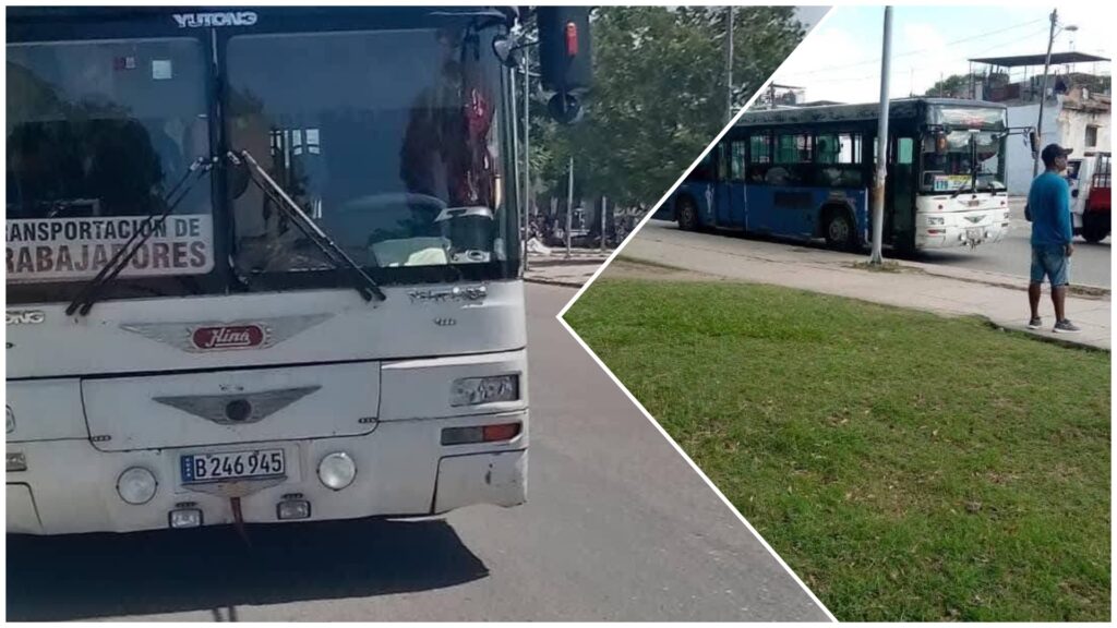 Autobuses urbanos en calles de ciudad