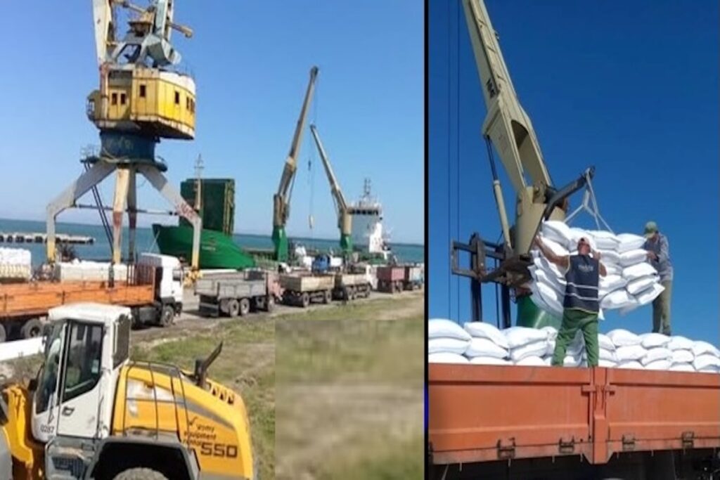 Grúas cargando barcos en puerto con sacos.