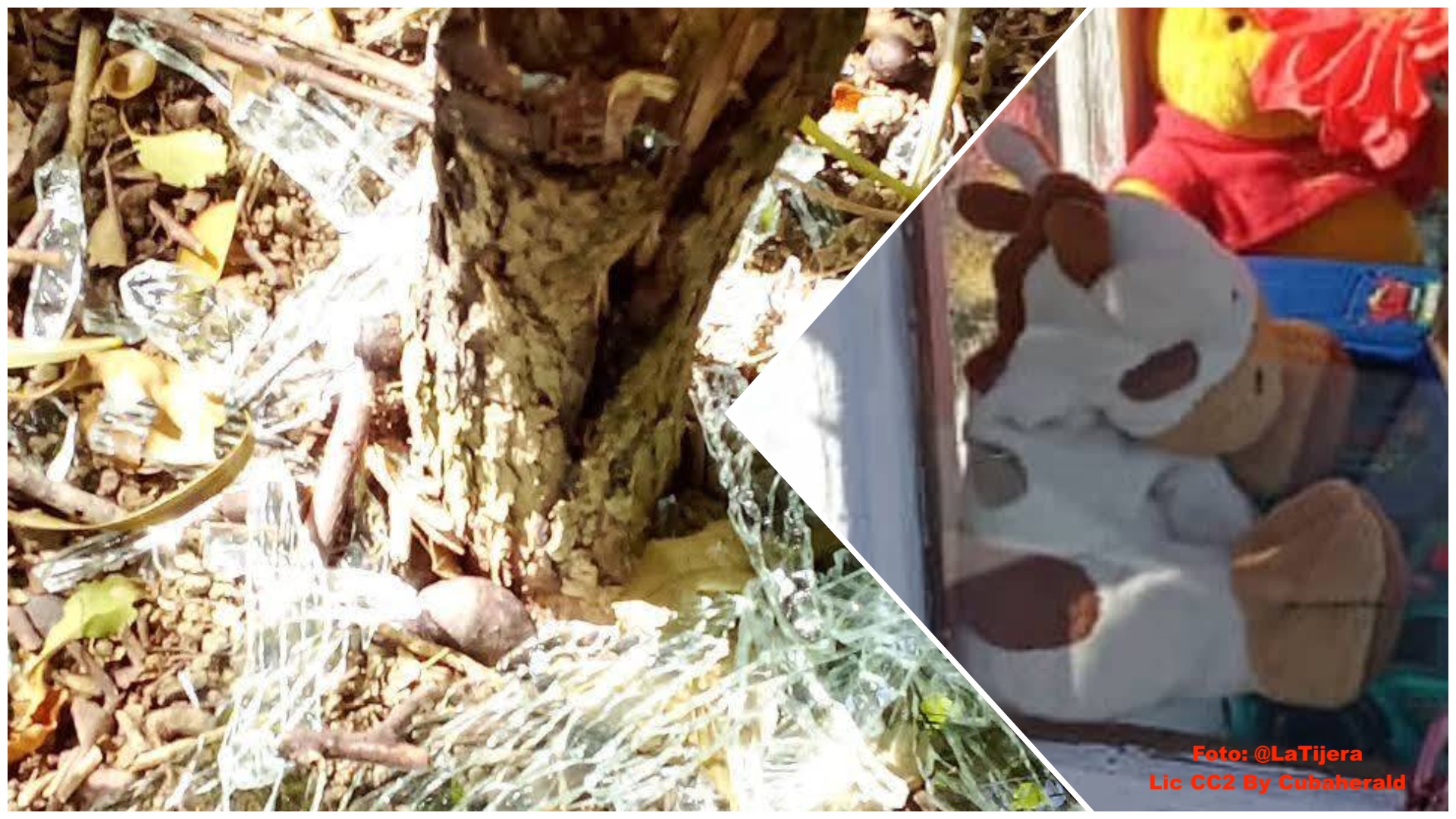 Espejos rotos y peluches tras vitrina.