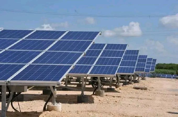 Paneles solares en un campo abierto.