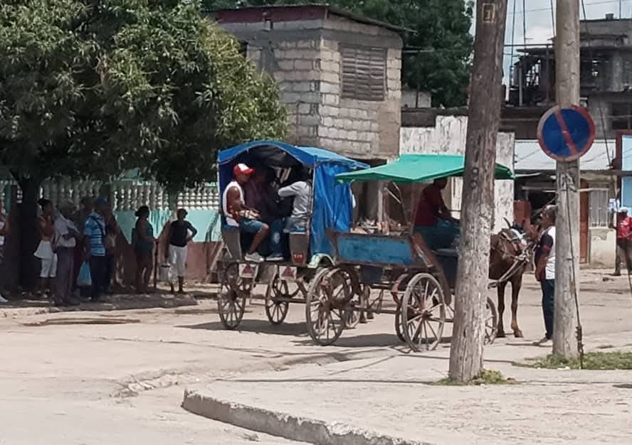 Carro tirado por caballos en calle concurrida.