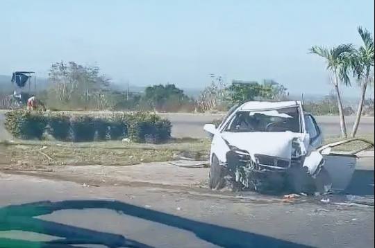 Coche blanco accidentado junto a carretera y palmera.