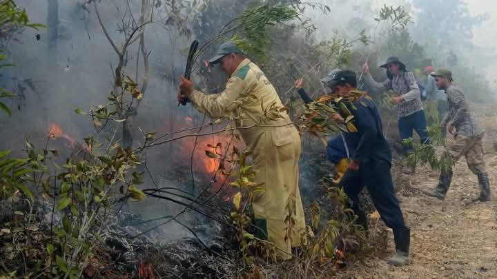 Voluntarios combaten incendio forestal