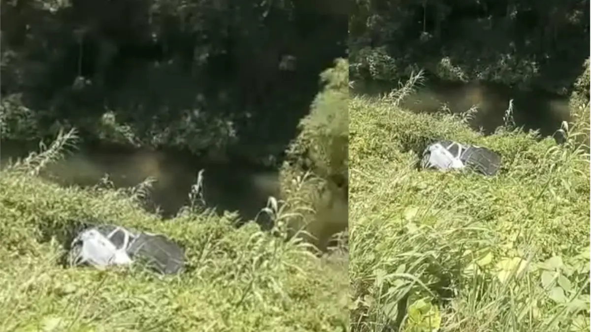 Coche volcado en barranco rodeado de vegetación