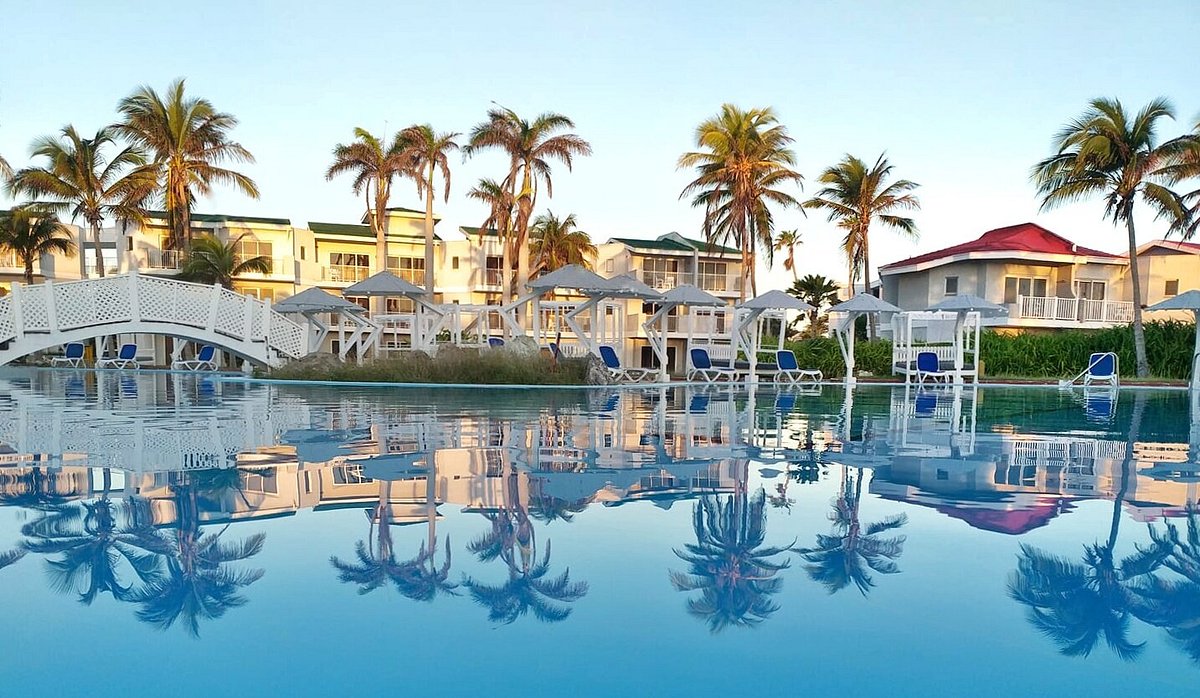 Resort con piscina, palmeras y tumbonas.