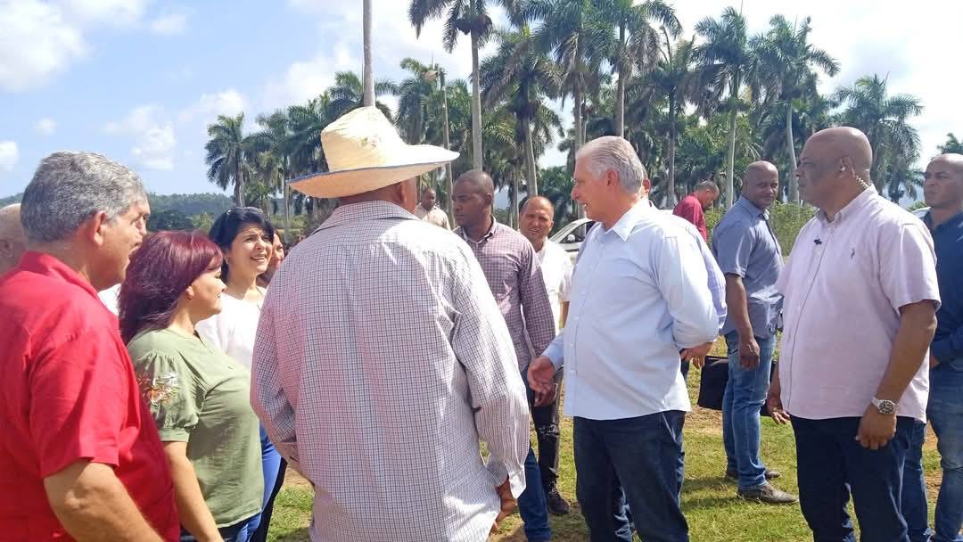 Grupo de personas conversando entre palmeras, cielo despejado.