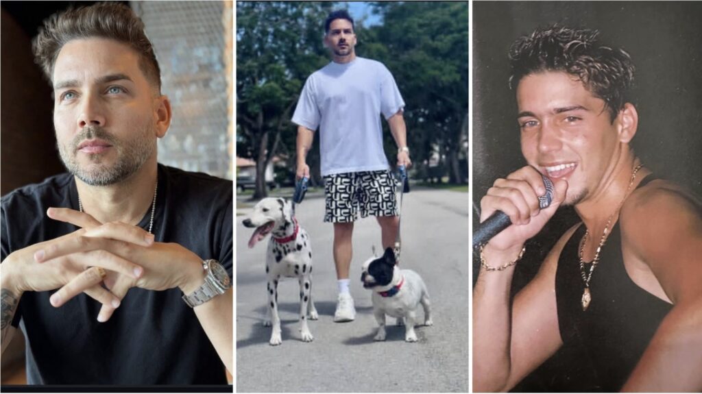 Hombre pensativo, paseando perros, cantando en escenario.