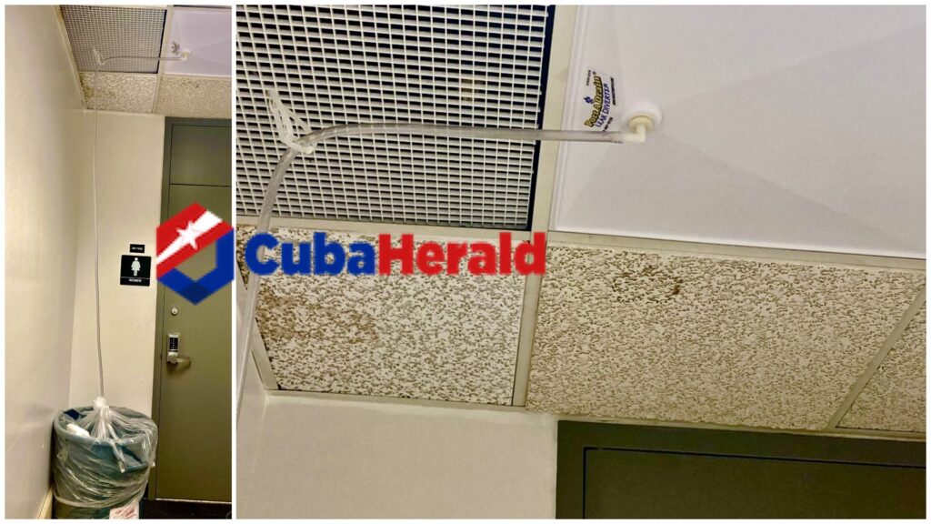 Tubería goteando en techo de baño público.